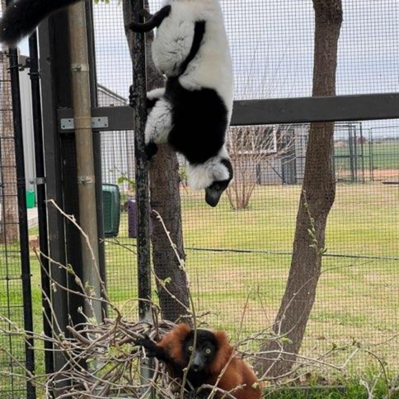 ๐ Black & Gray Large Under Armour Coldgear Zippered Windbreaker Running Jacket - Picture 13 of 16